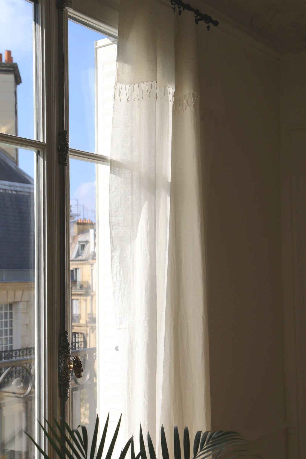 Ashoka Curtain