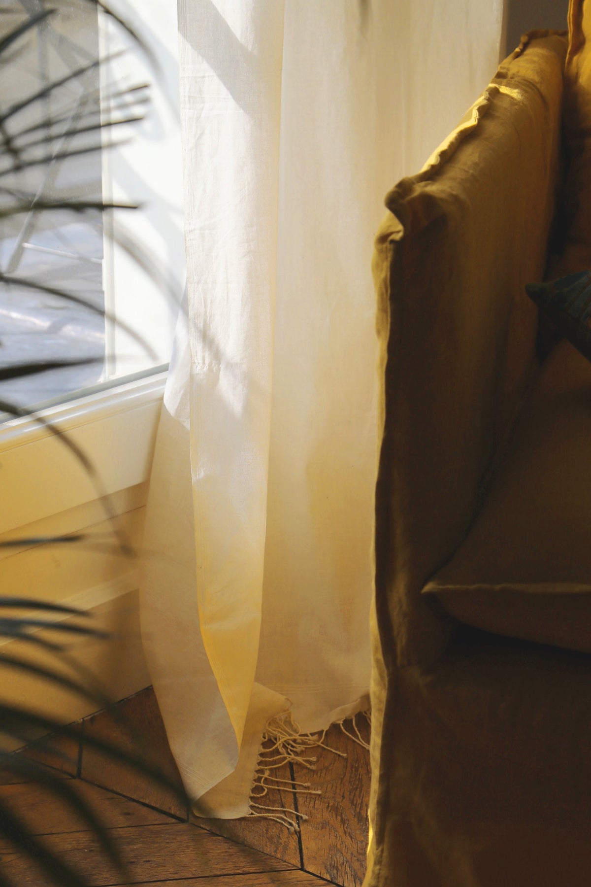 Ashoka Curtain
