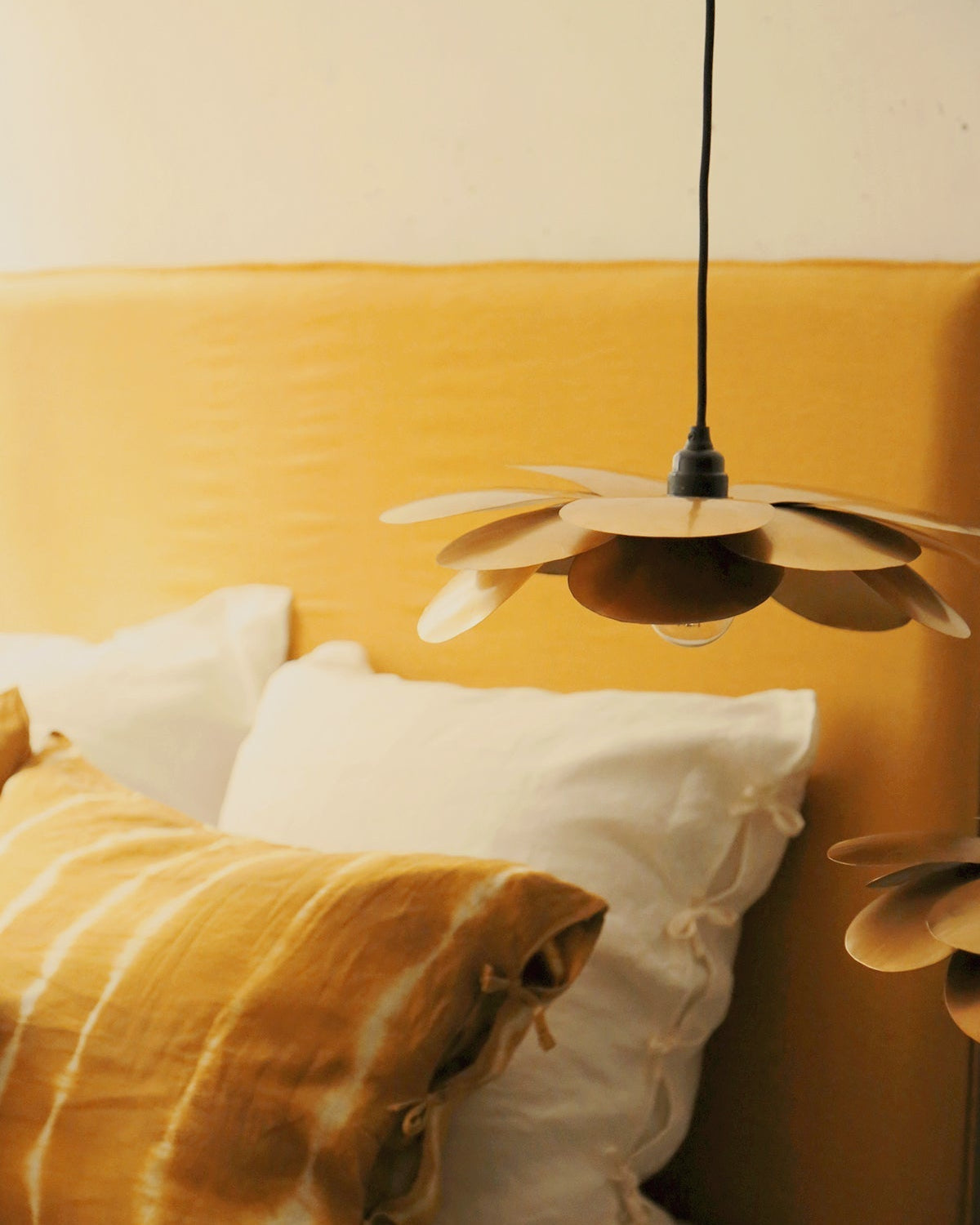 Cosmos Suspension