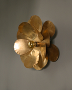 Cosmos wall light