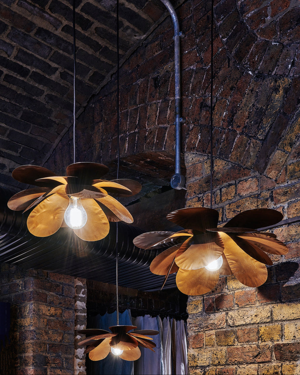 Cosmos Suspension