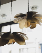 Cosmos Suspension
