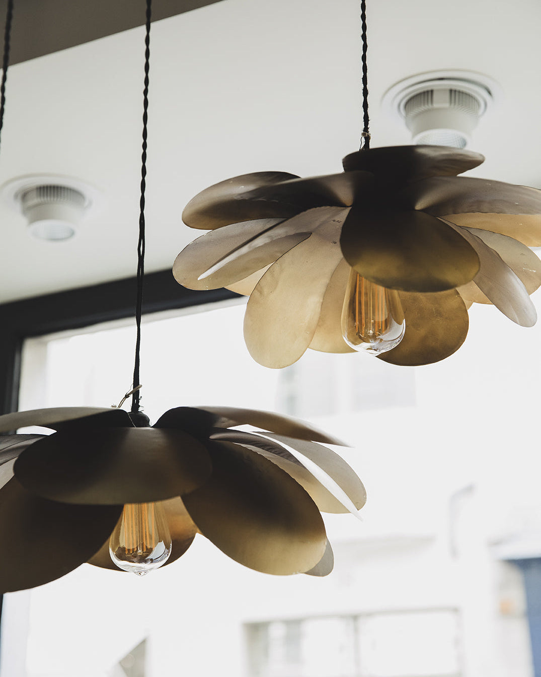 Cosmos Suspension