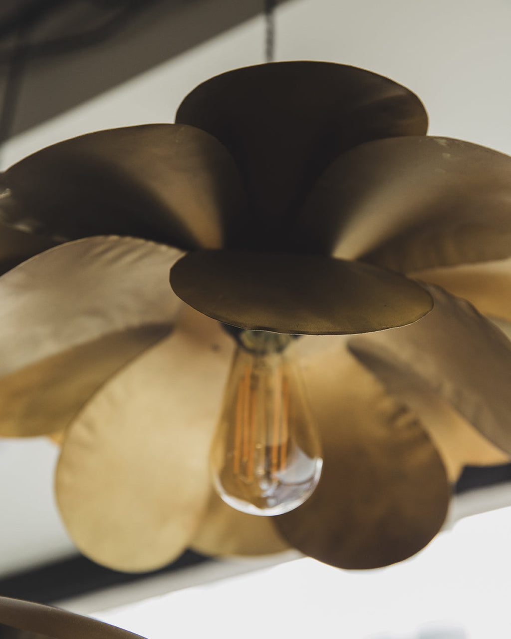 Cosmos Suspension
