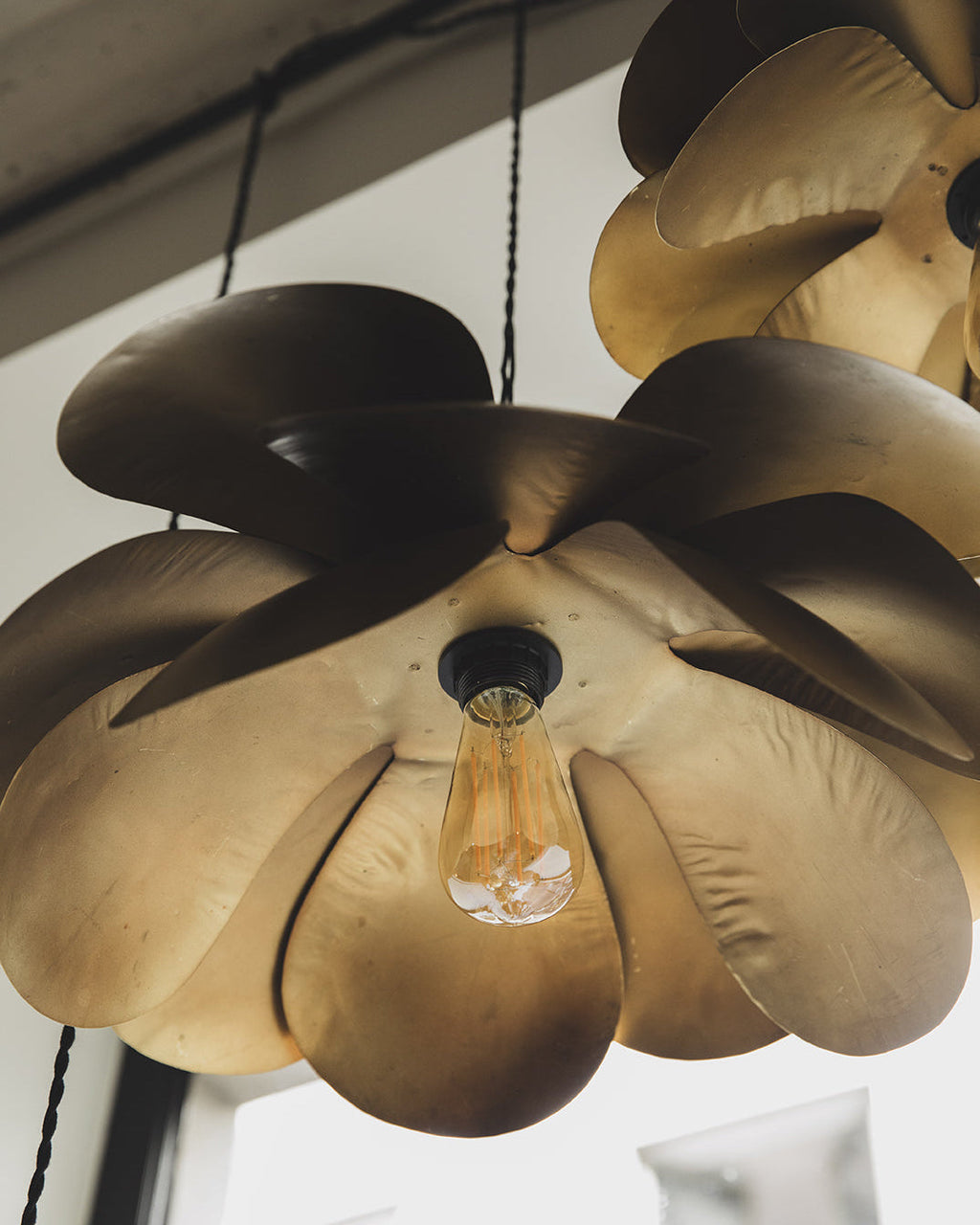 Cosmos Suspension