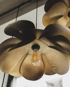 Cosmos Suspension