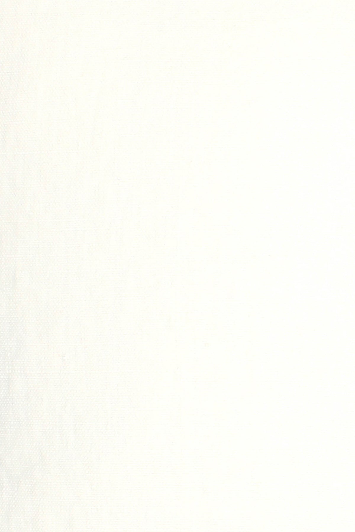 Wild Linen Fabric