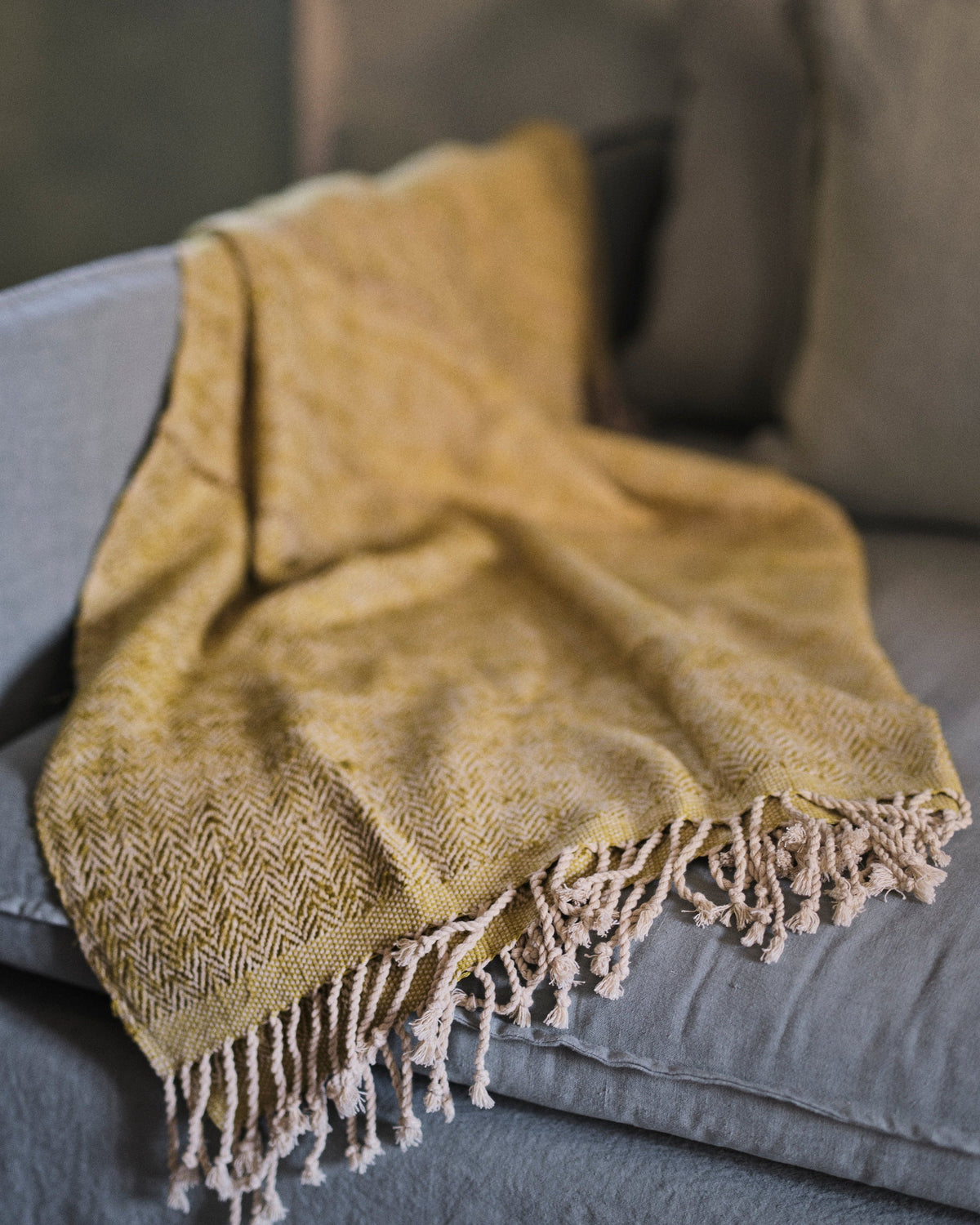 Tasar Plaid
