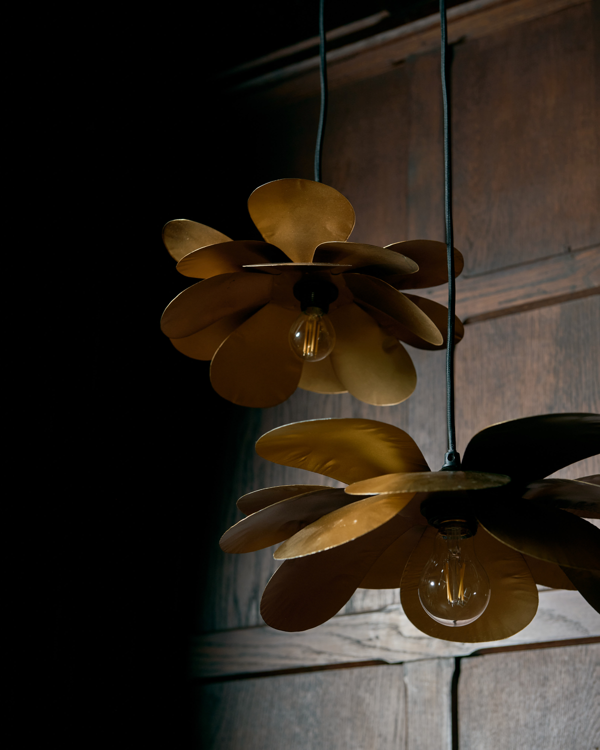 Cosmos Suspension