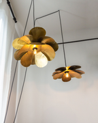 Cosmos Suspension