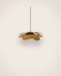 Cosmos Suspension