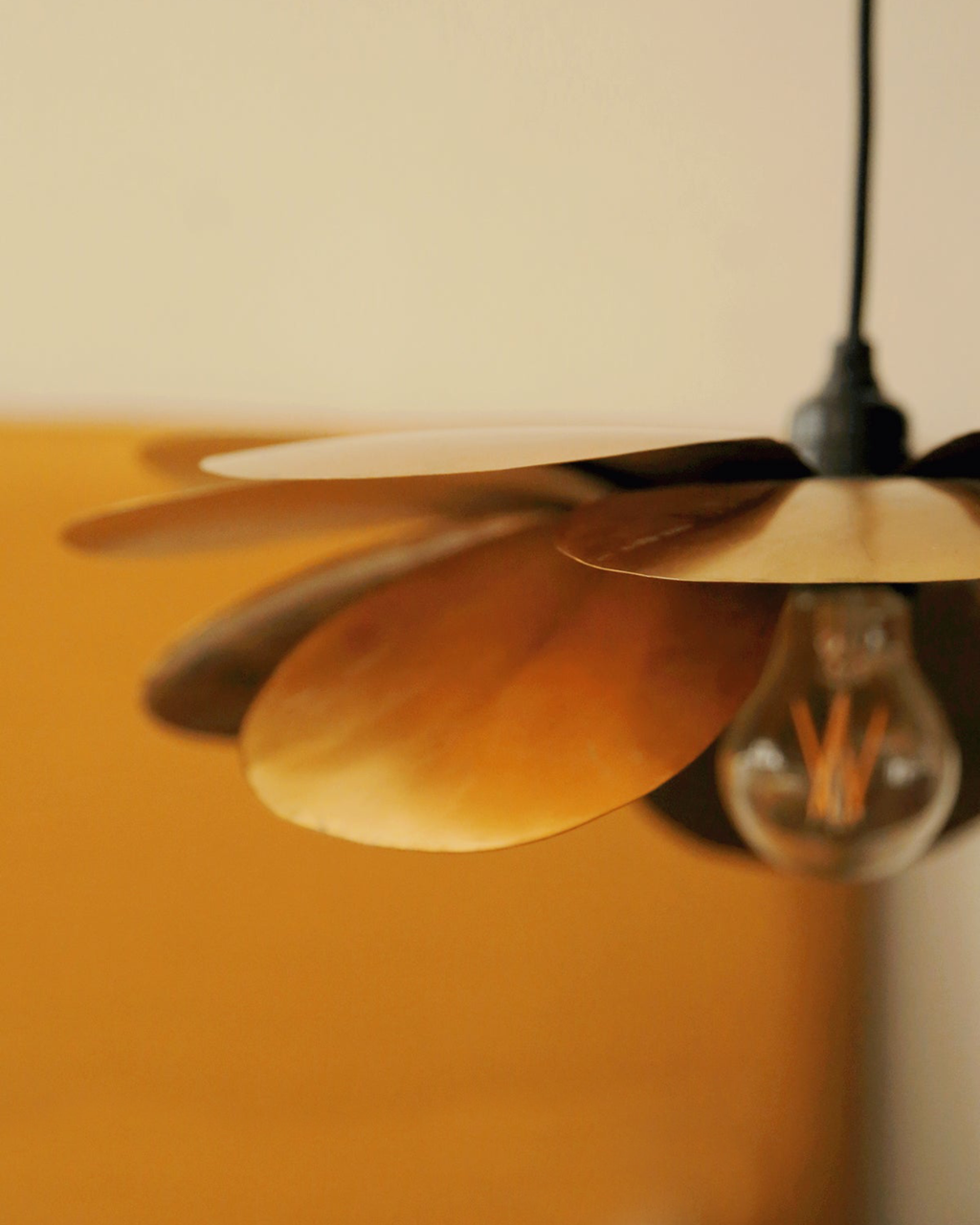 Cosmos Suspension