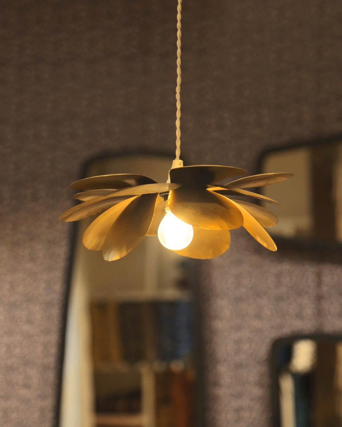Cosmos Suspension