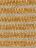 Phylo fabric