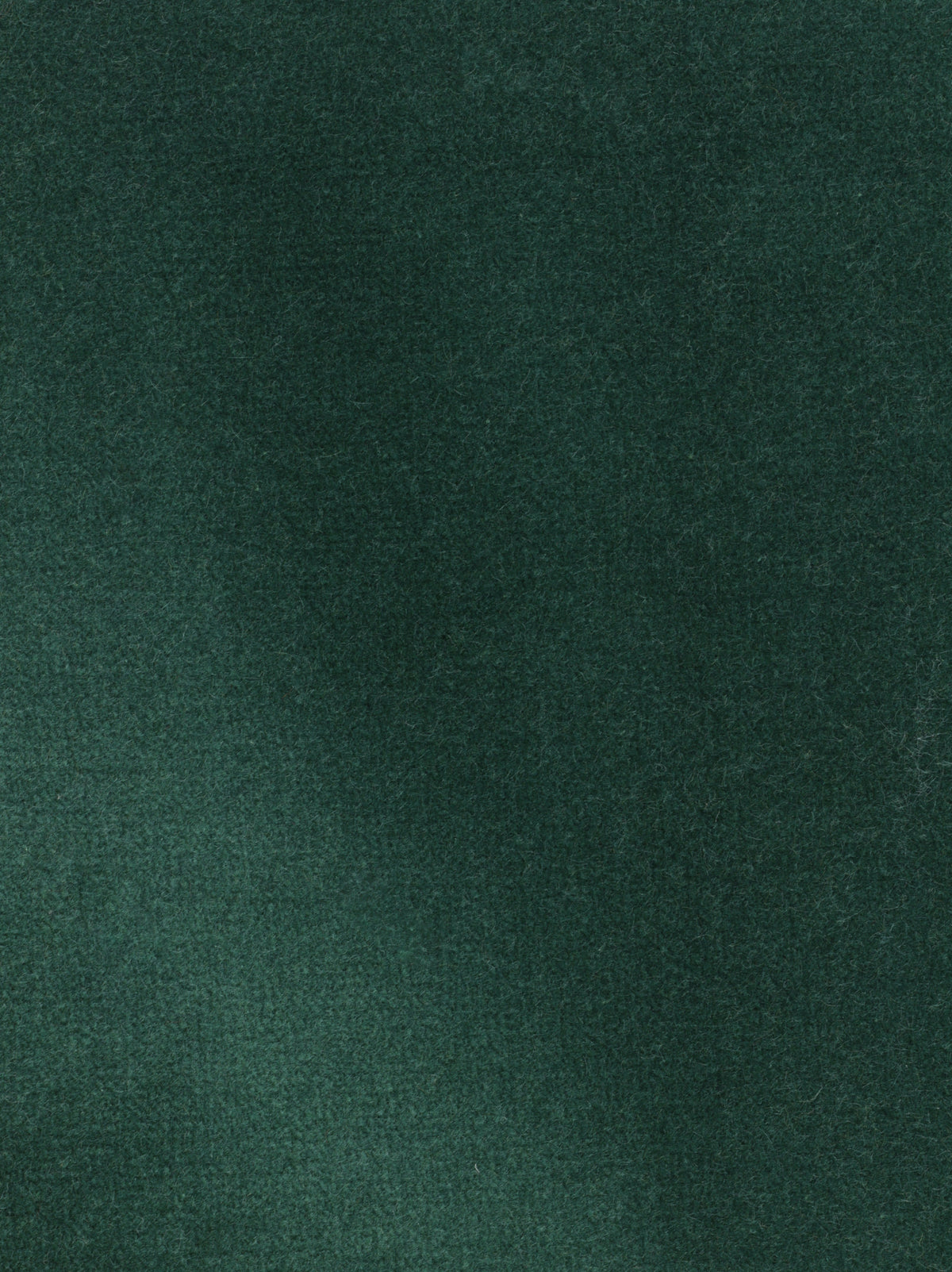 Dolce fabric
