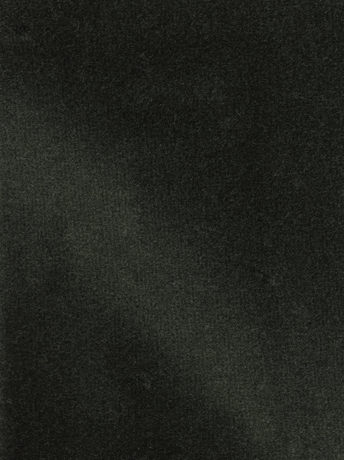 Dolce fabric