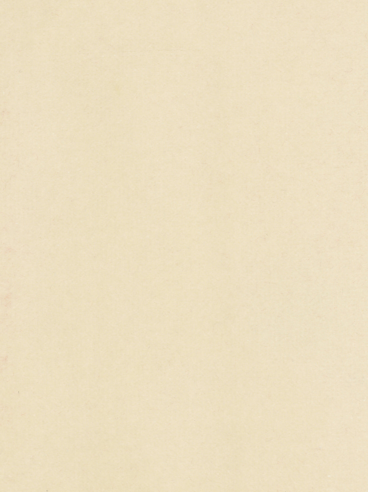 Dolce fabric