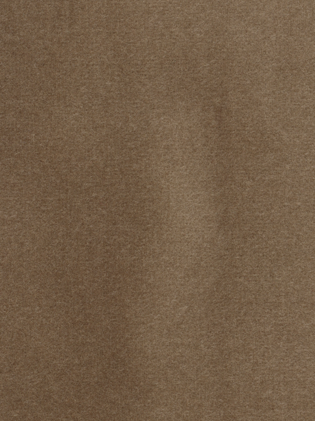 Dolce fabric