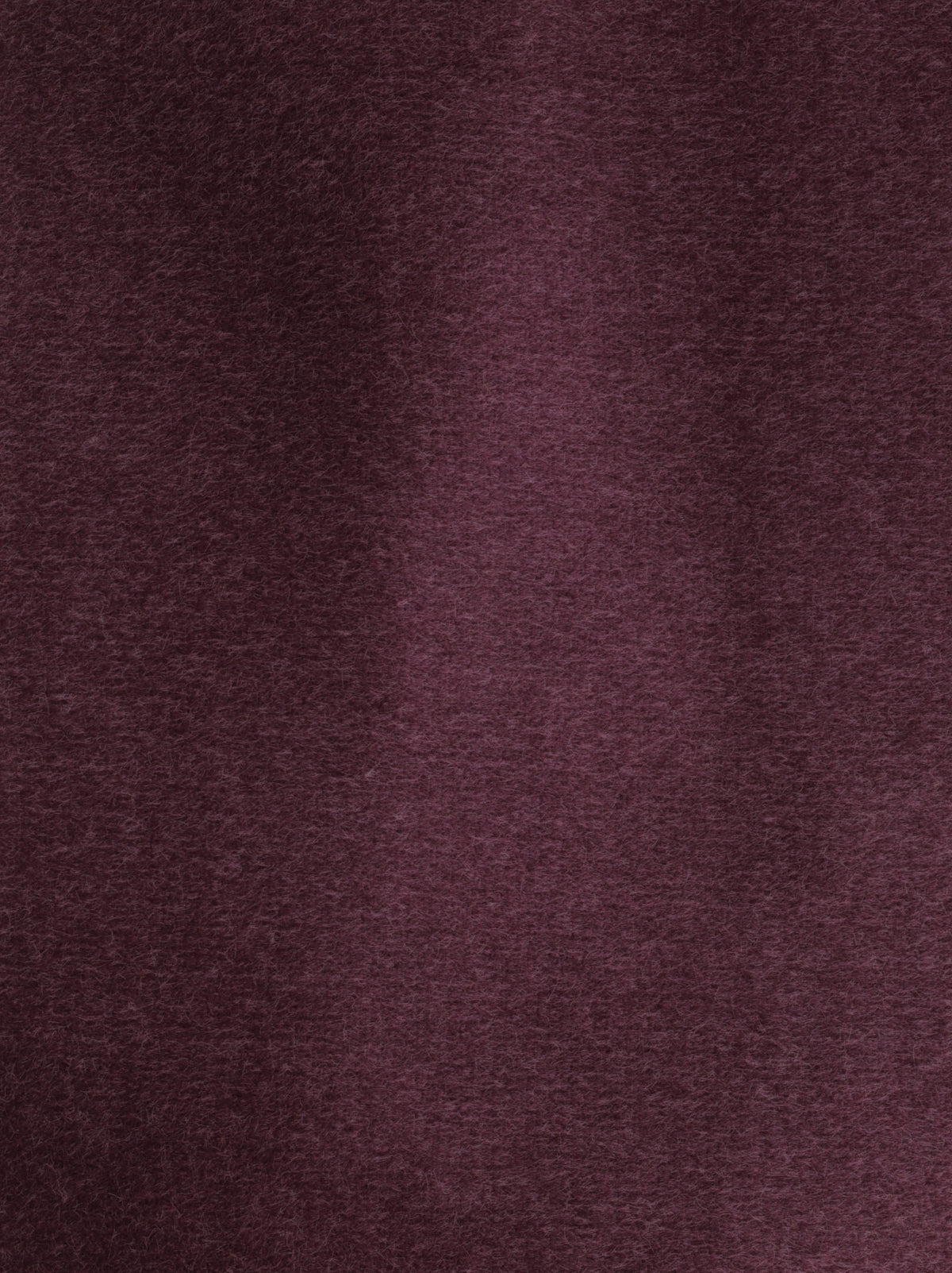 Dolce fabric
