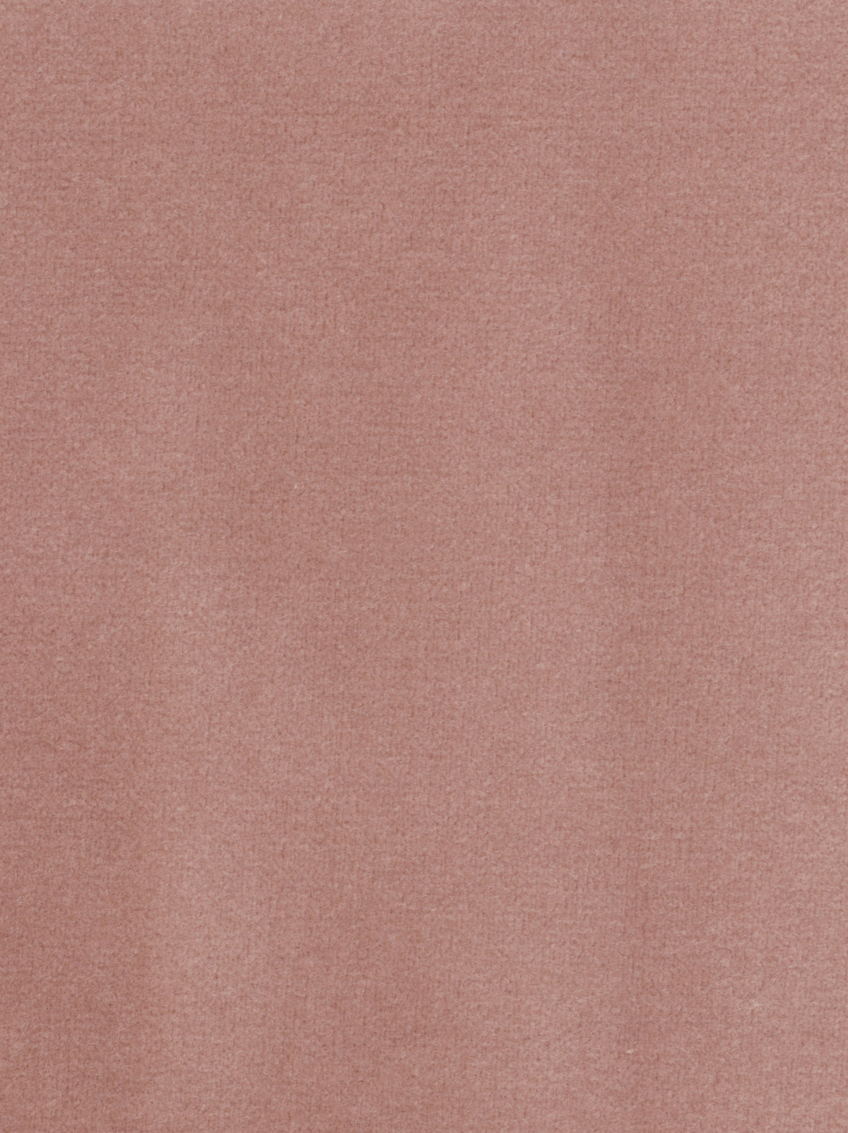 Dolce fabric