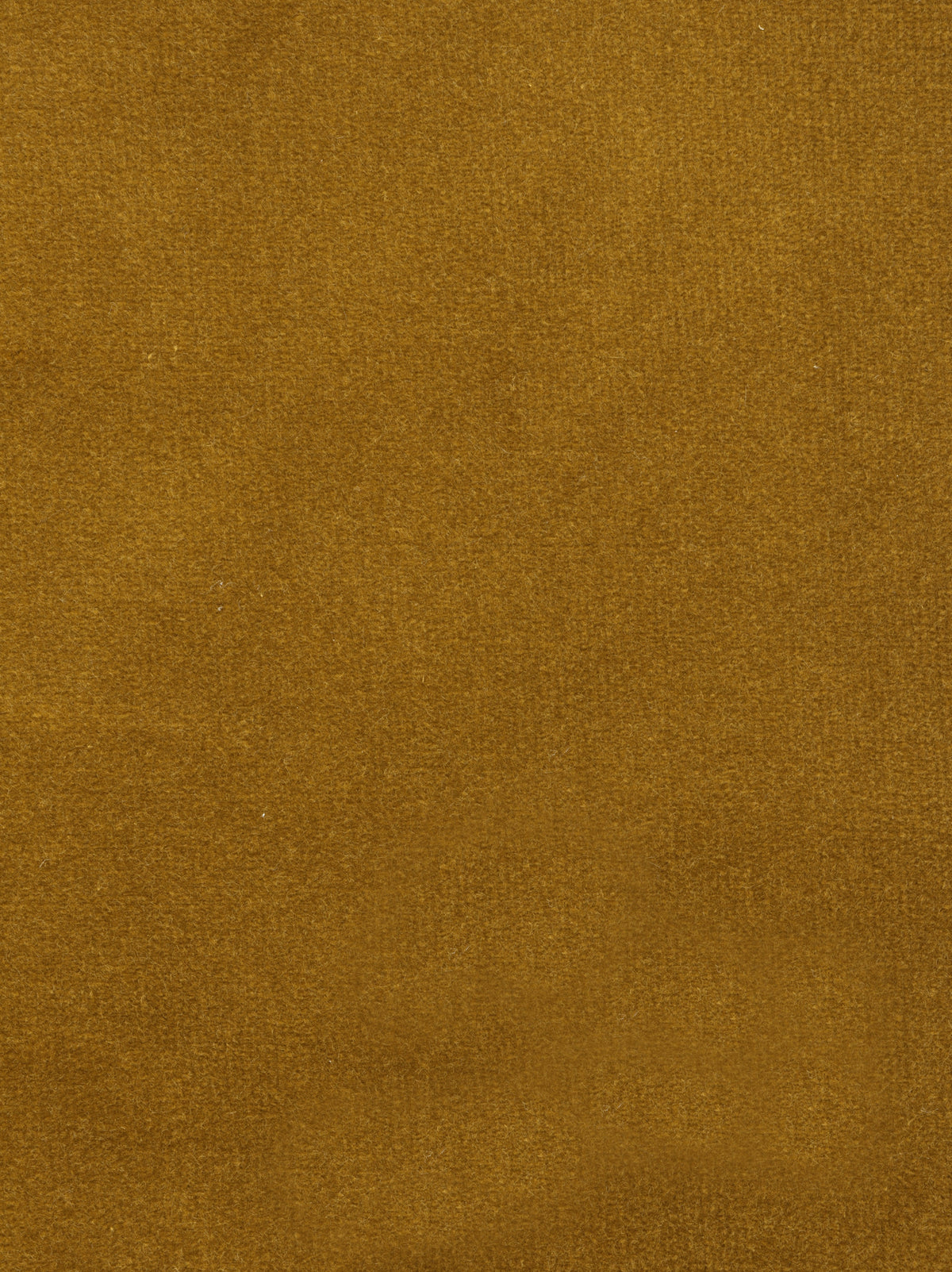 Dolce fabric
