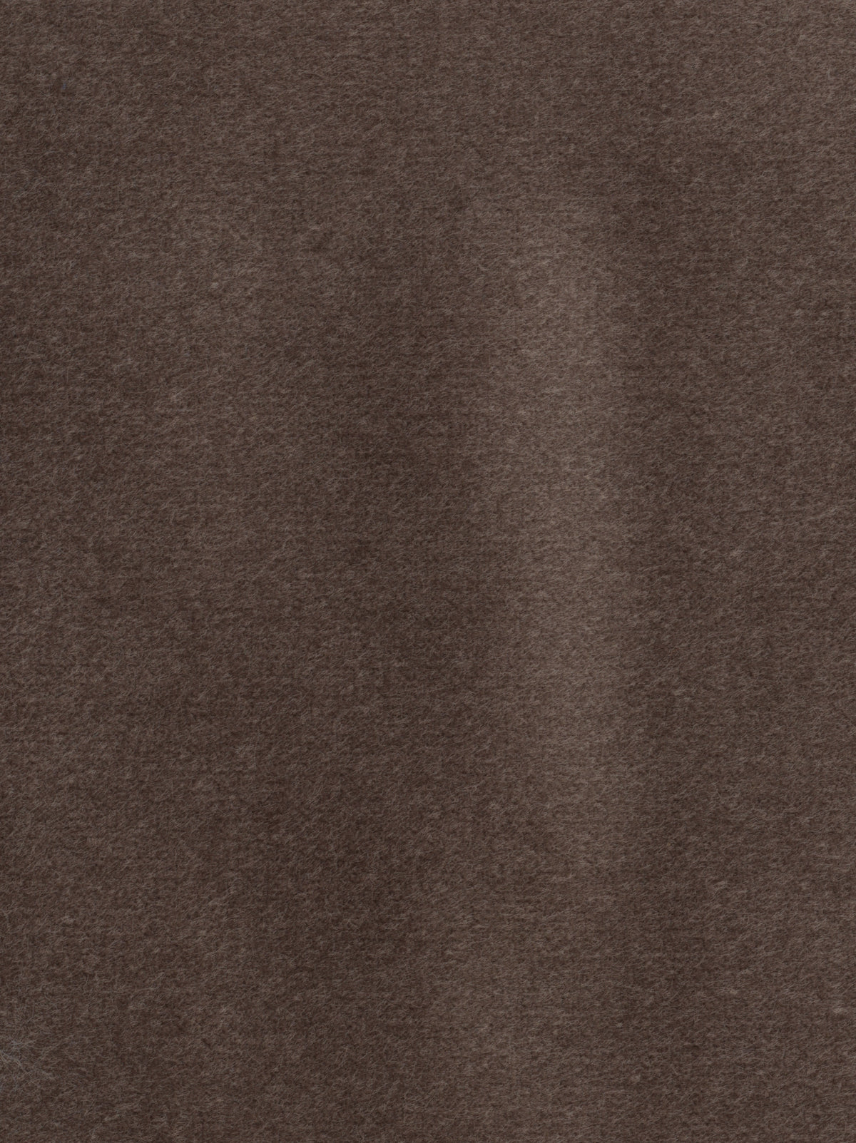 Dolce fabric