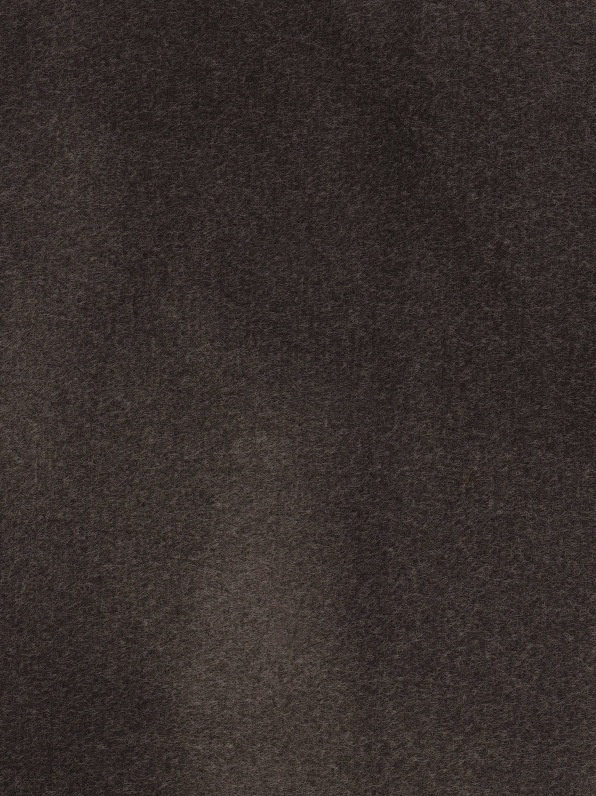 Dolce fabric