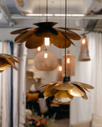 Cosmos Suspension