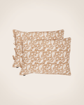 Set of 2 Paisley pillowcases