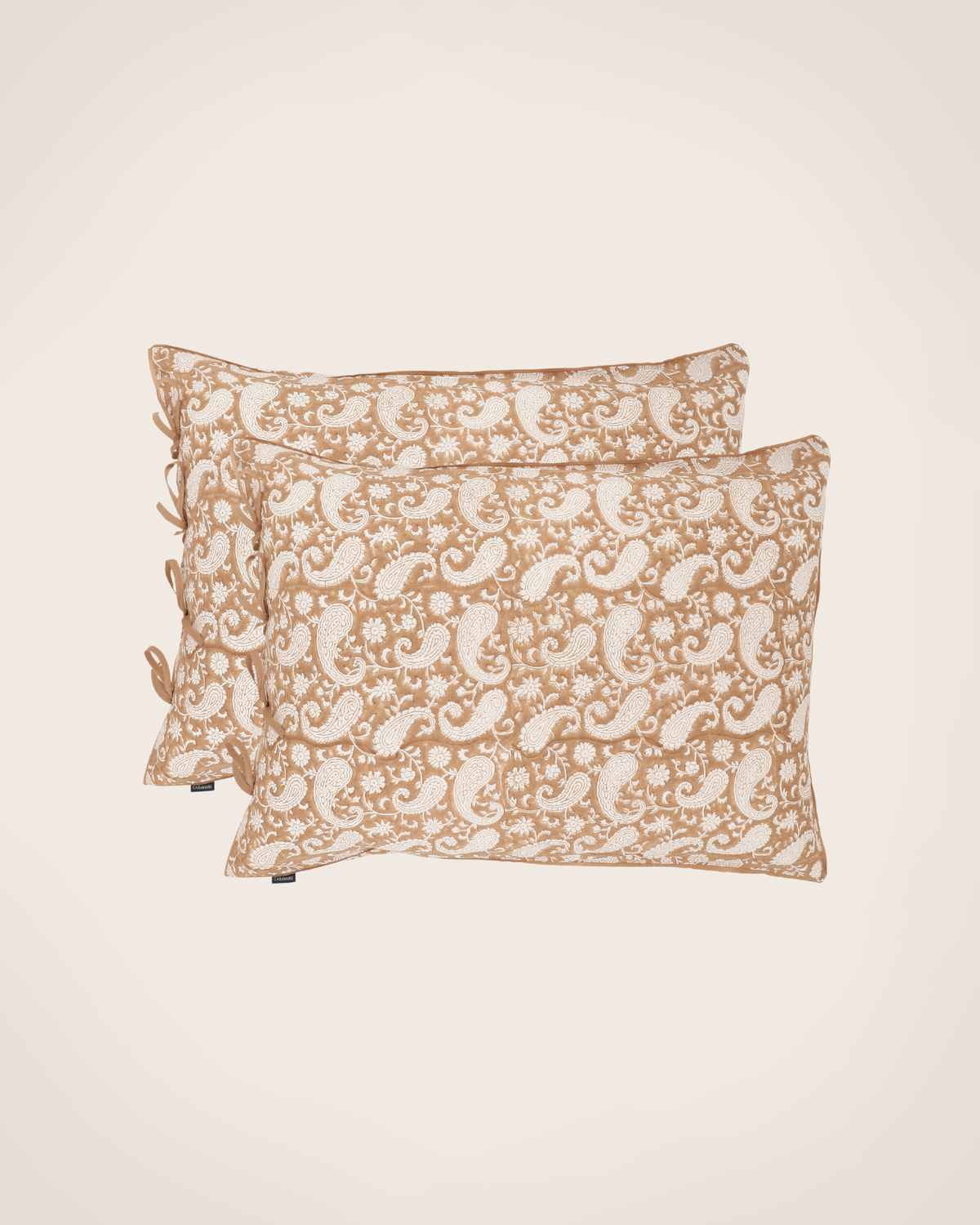 Set of 2 Paisley pillowcases