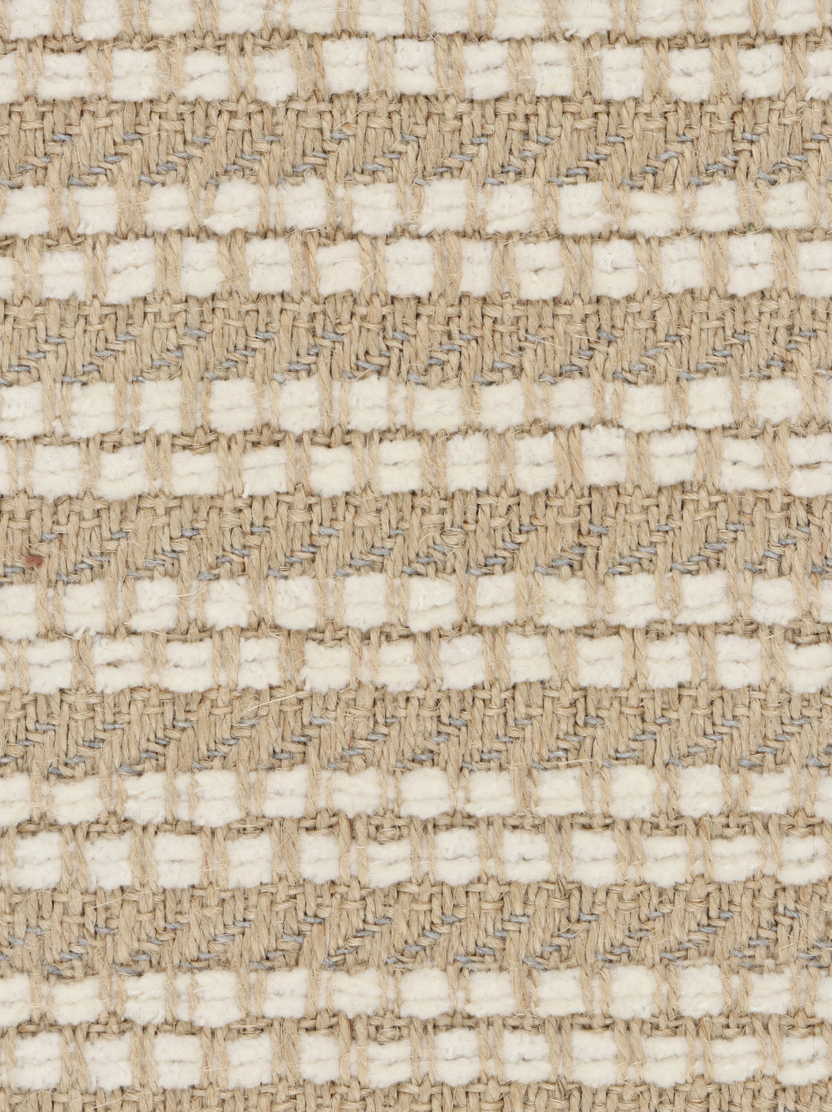 Phylo fabric